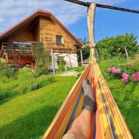 Holiday Home Trnavsko Bogojina Bagian luar foto