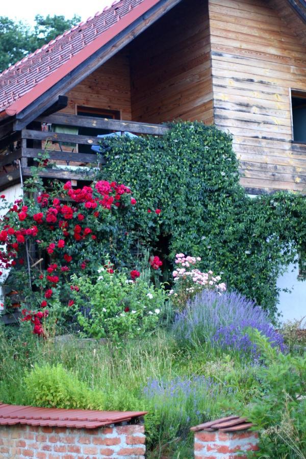 Holiday Home Trnavsko Bogojina Bagian luar foto