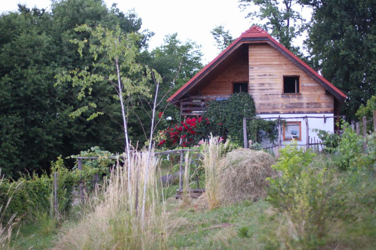 Holiday Home Trnavsko Bogojina Bagian luar foto