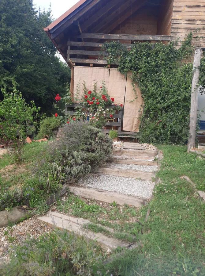 Holiday Home Trnavsko Bogojina Bagian luar foto