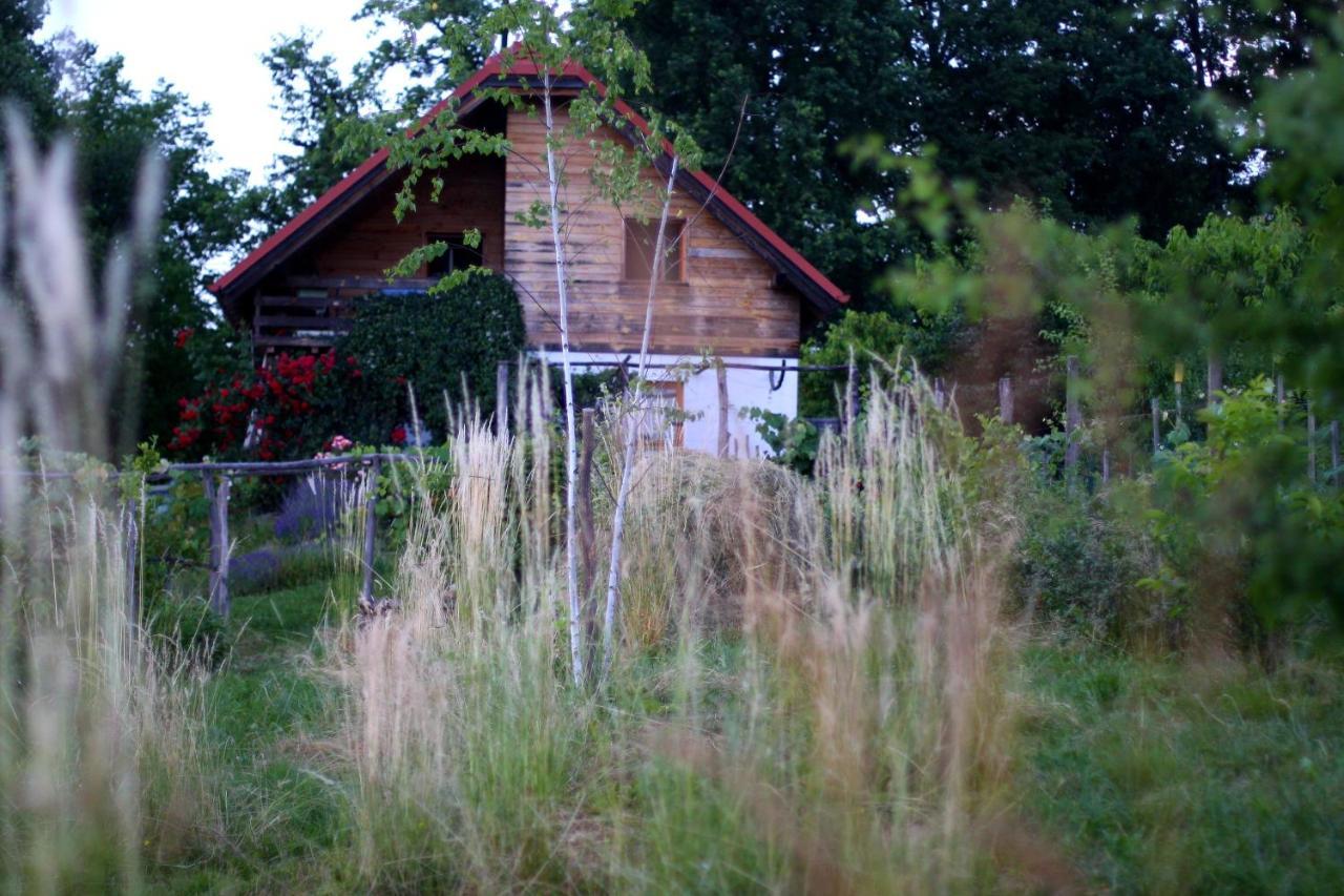 Holiday Home Trnavsko Bogojina Bagian luar foto